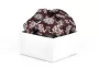 Wool Pocketsquare Monte Napoleone 25-1540-2544.2 Burgundy