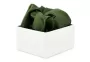 Pocketsquare SMpo318 Green